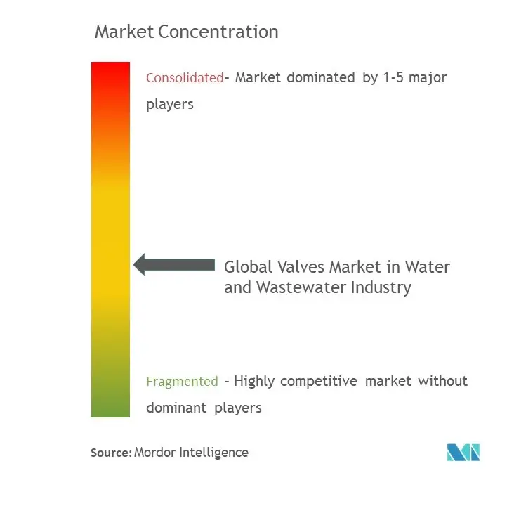 Global Valves Market In Water And Wastewater Industry Concentration