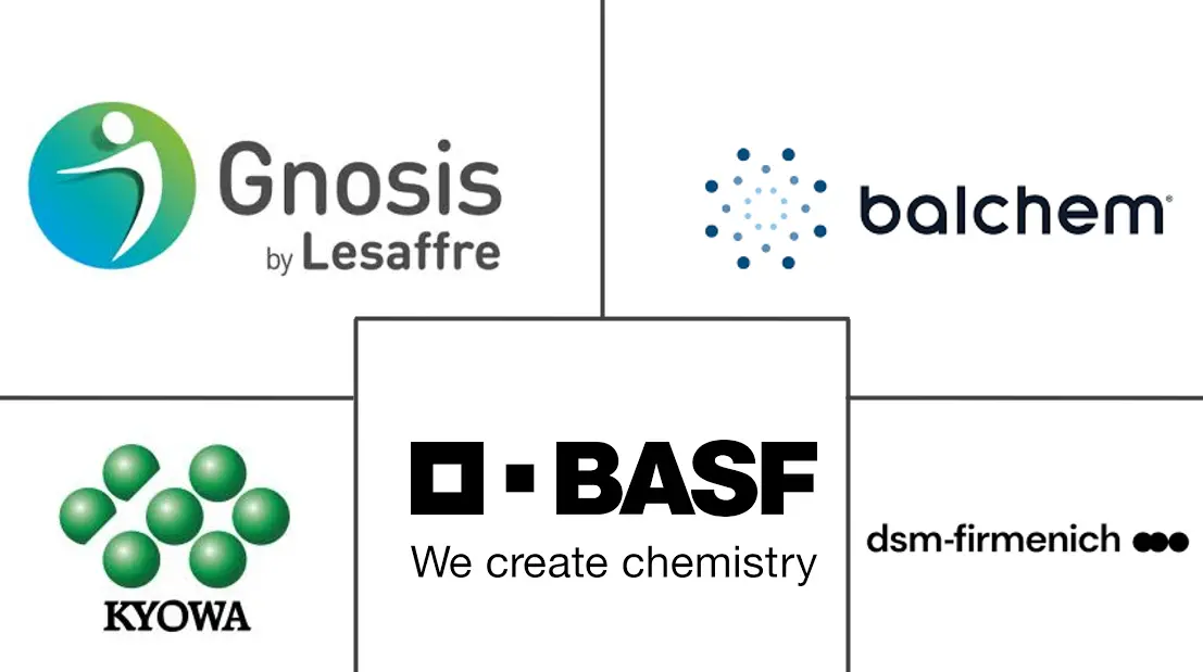 Major players in Vitamin K2 industry