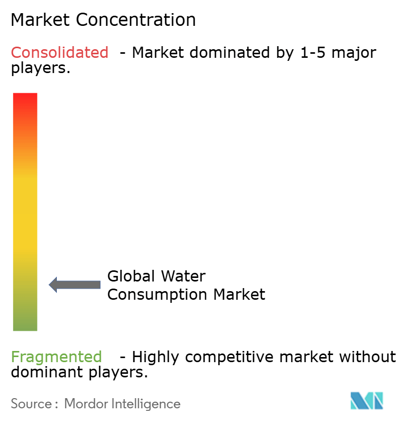 Global Water Consumption Market Concentration