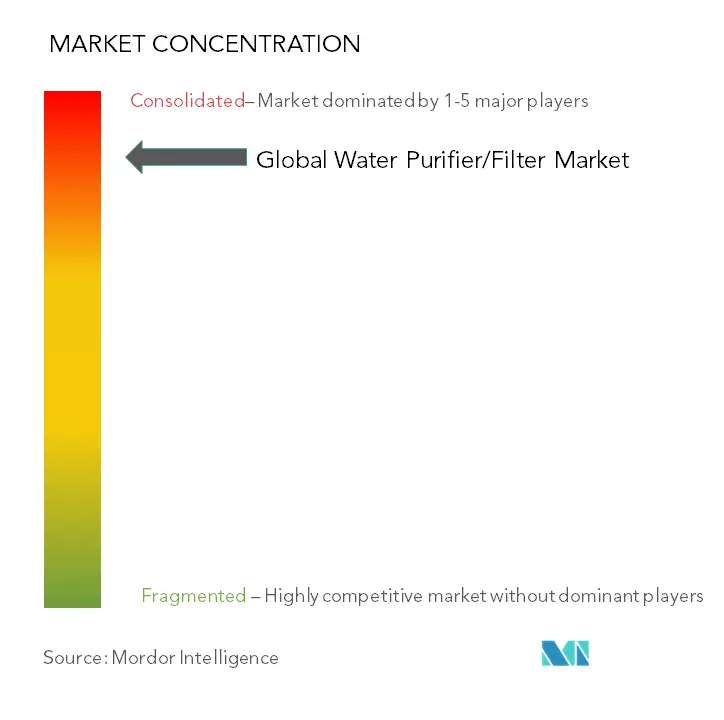 Water Purifier/Filter Market Concentration