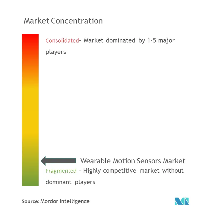 Wearable Motion Sensors Market Concentration