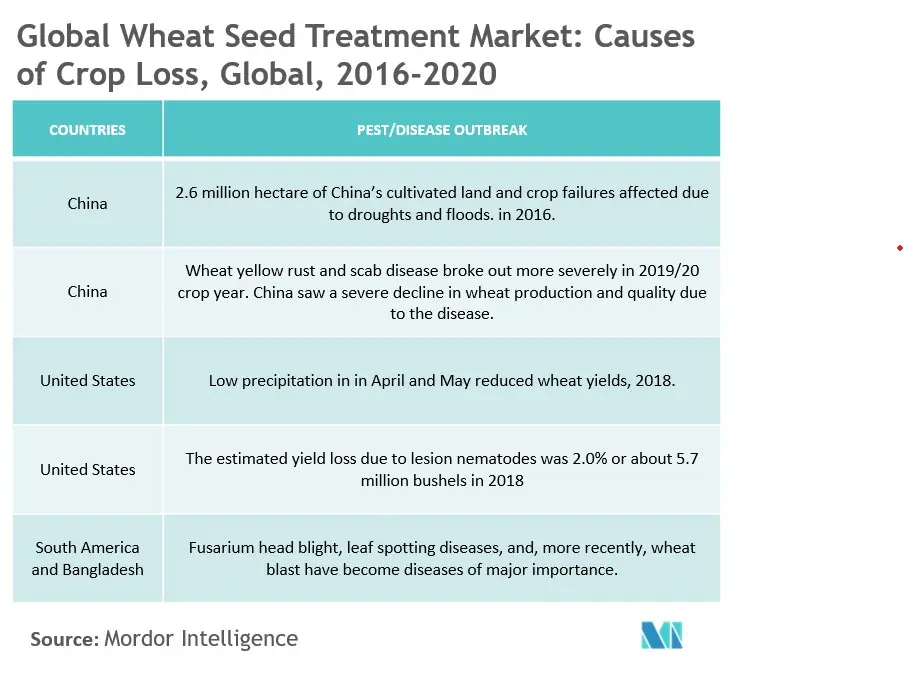wheat seed tratement .jpg