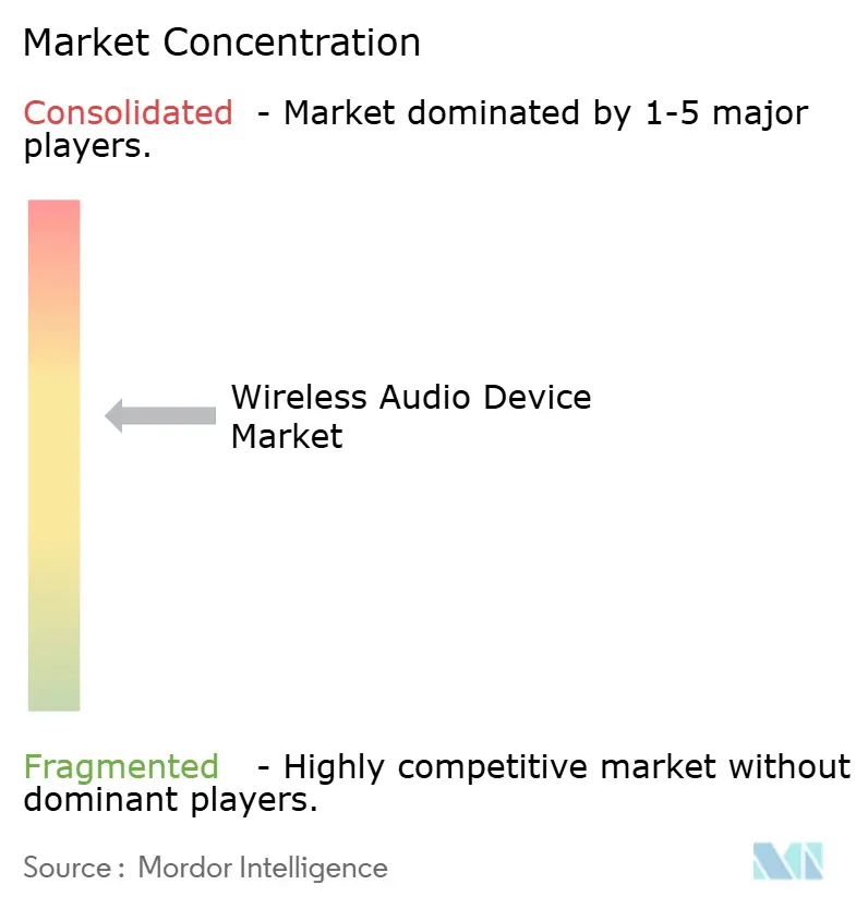 Wireless Audio Device Market Concentration