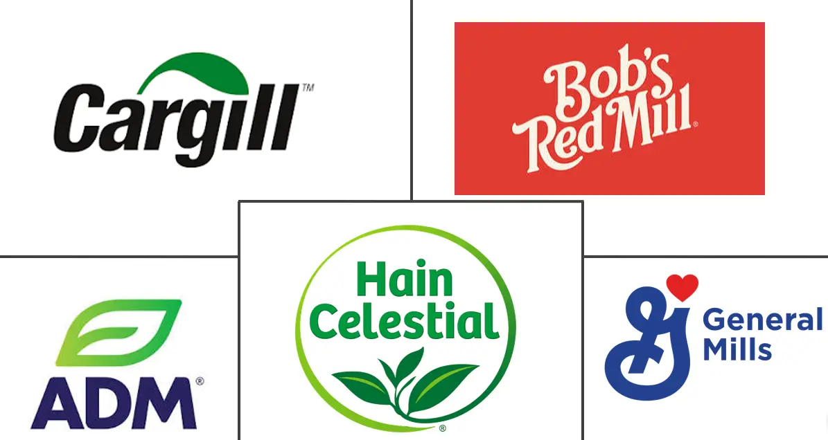 Major players in Gluten Free Flours industry