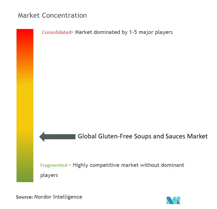 グルテンフリーのスープとソース市場集中度
