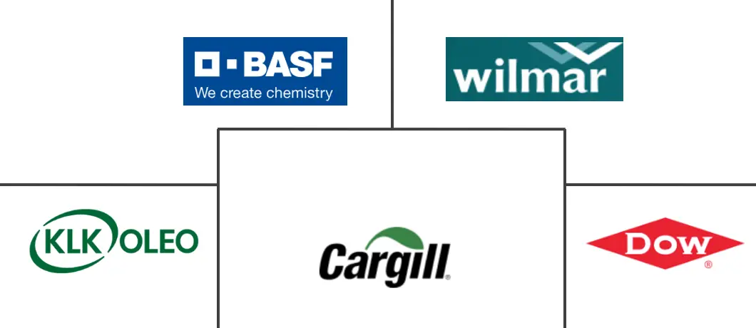 Major players in Glycerin industry