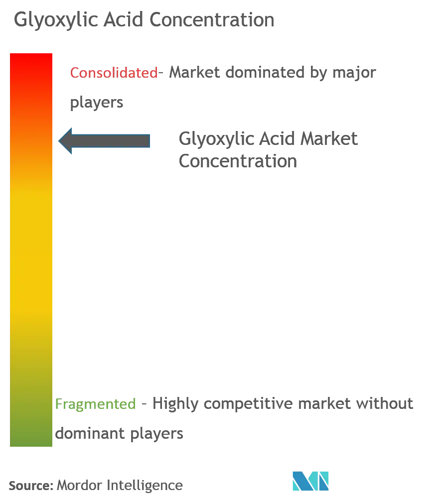 Glyoxylic Acid Market Concentration