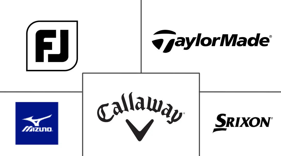 Major players in Golf Gloves industry