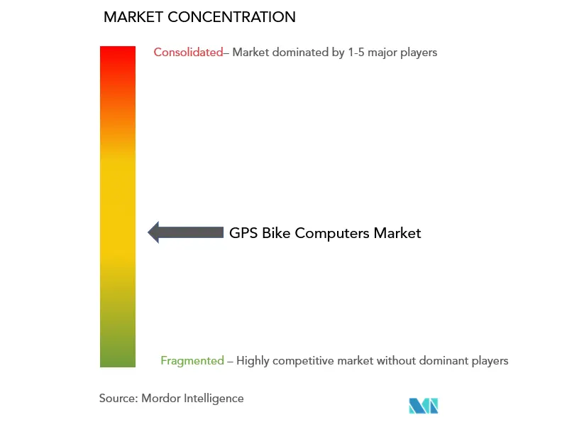 GPSサイクルコンピュータ市場の集中度