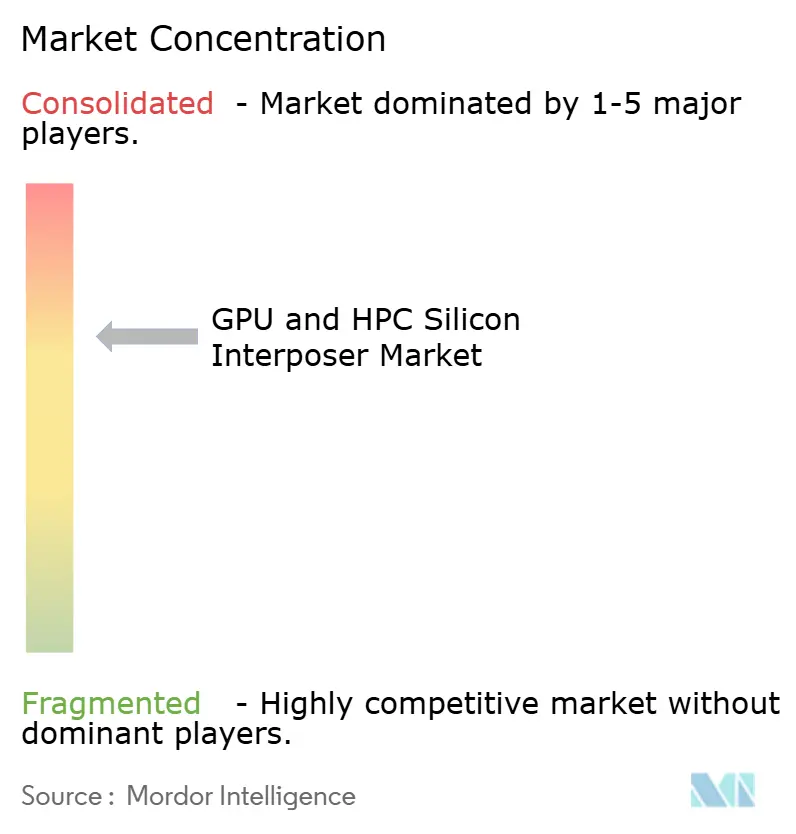 Concentración del Mercado de Interpositor de Silicio para GPU y HPC
