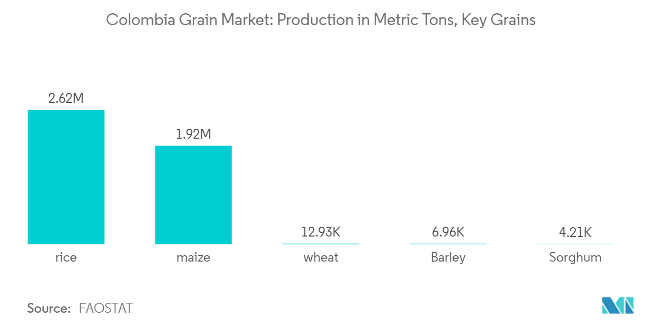 Colombia Grain Market: Production in Metric Tons, Key Grains