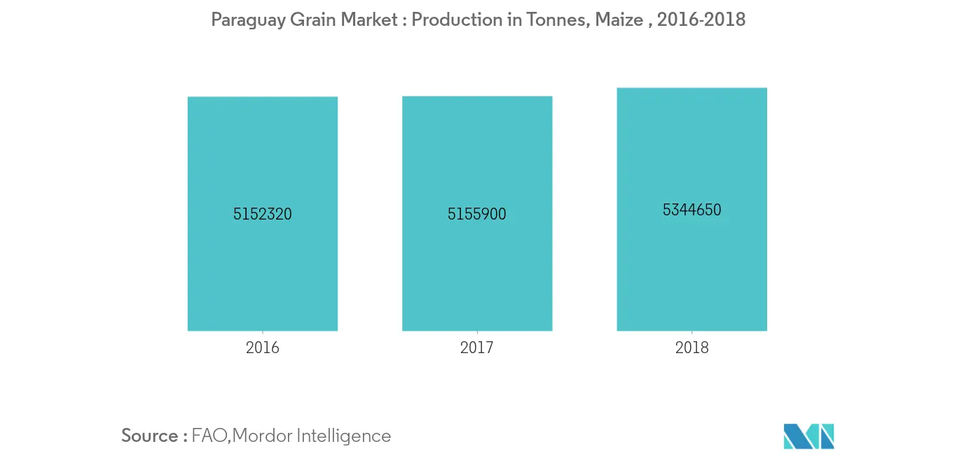 Paraguay grain market Analysis