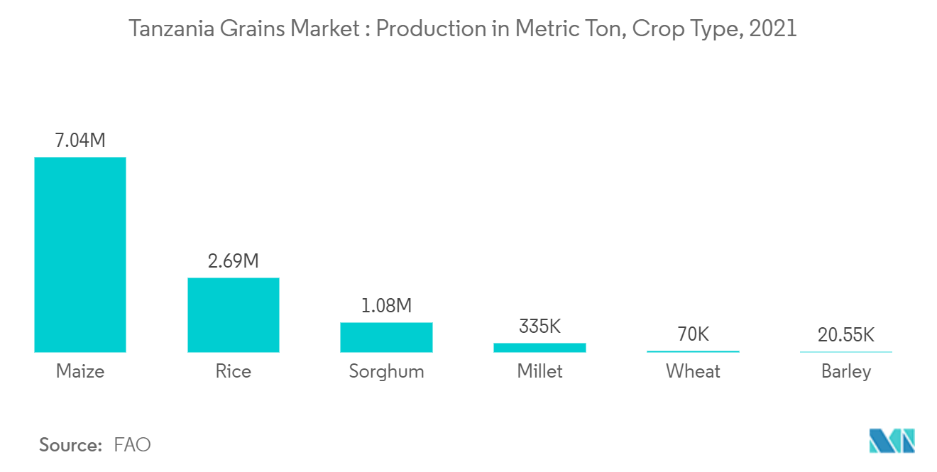 坦桑尼亚谷物市场：2021 年作物类型产量（公吨）