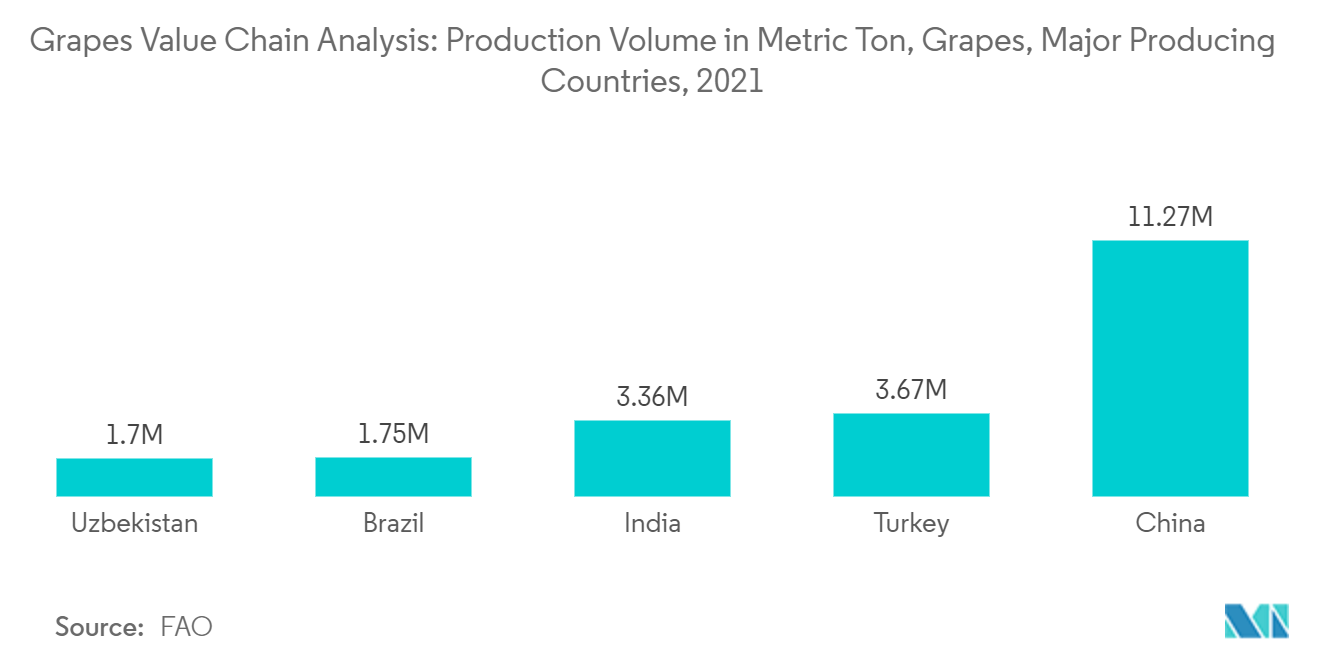 Mercado de Análise da Cadeia de Valor de Uvas – Volume de Produção em Toneladas Métricas, Uvas, Principais Países Produtores, 2021