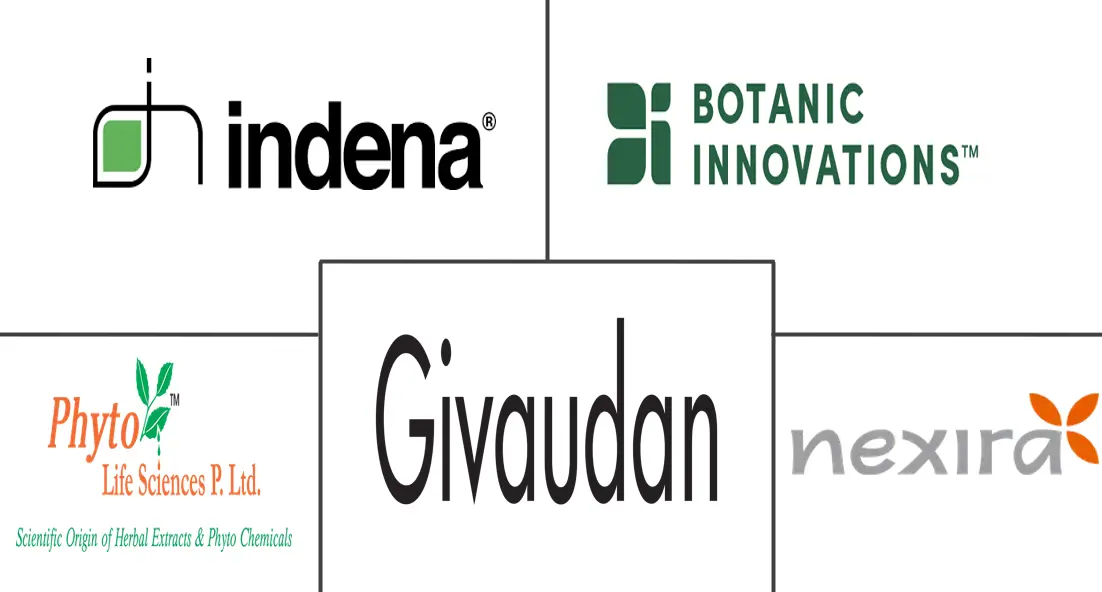 Related Companies Logo