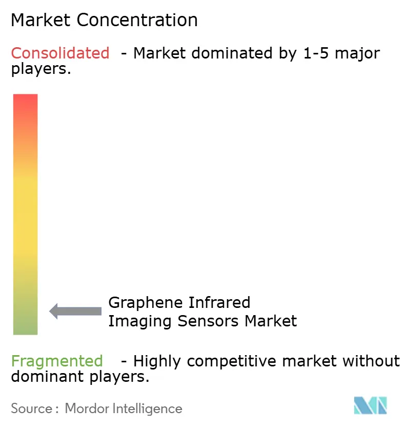 Graphene Infrared Imaging Sensors Market Concentration