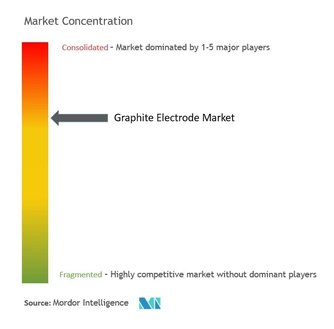 Graphite Electrode Market Concentration