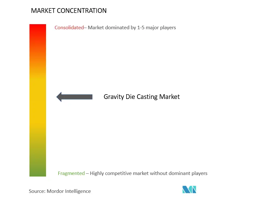 Gravity Die Casting Market Concentration