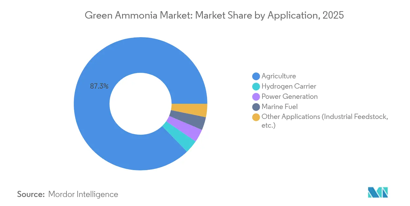 Green Ammonia Market: Market Share by Application, 2025