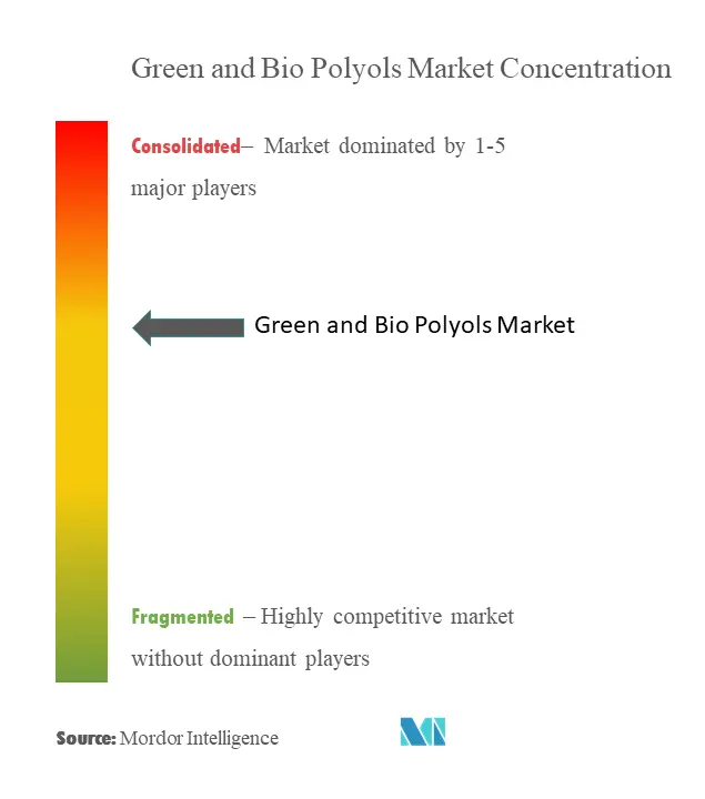 Green and Bio Polyols Market Concentration