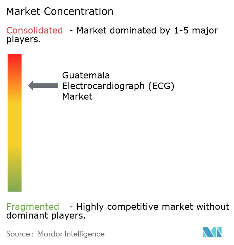 과테말라 메이저 바카라사이트 굿모닝(ECG) 시장 집중도 과테말라 메이저 바카라사이트 굿모닝(ECG) 시장 집중도