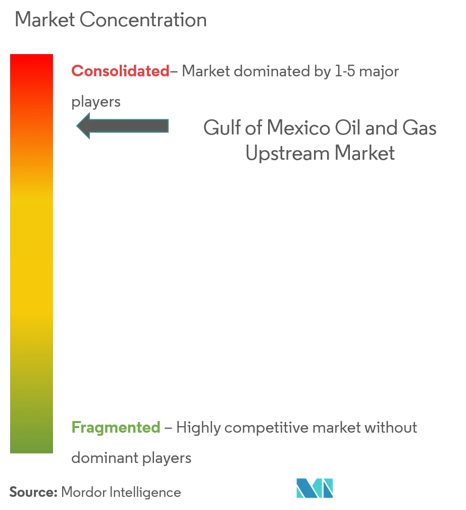 Gulf of Mexico Oil and Gas Upstream Market Concentration