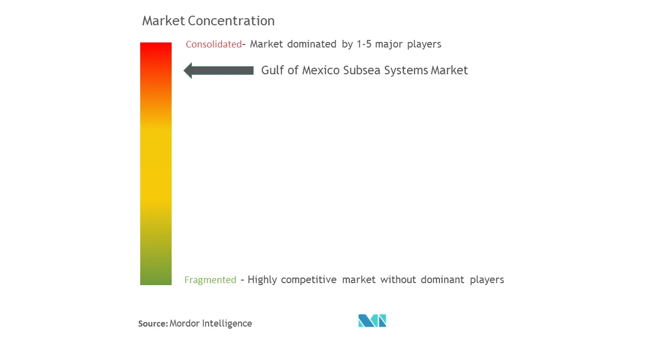 メキシコ湾サブシー・システム市場の集中度
