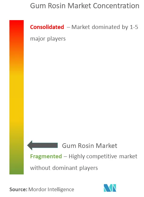 Gum Rosin Market - Market Concentration.png