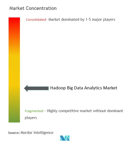 Hadoop Big Data Analytics Market Concentration
