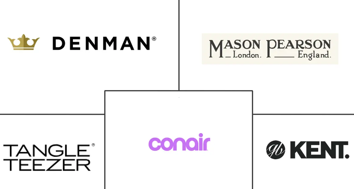 Major players in Hair Brush industry