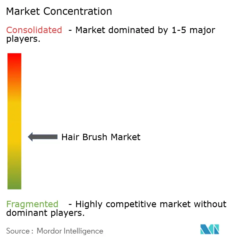 Hair Brush Market