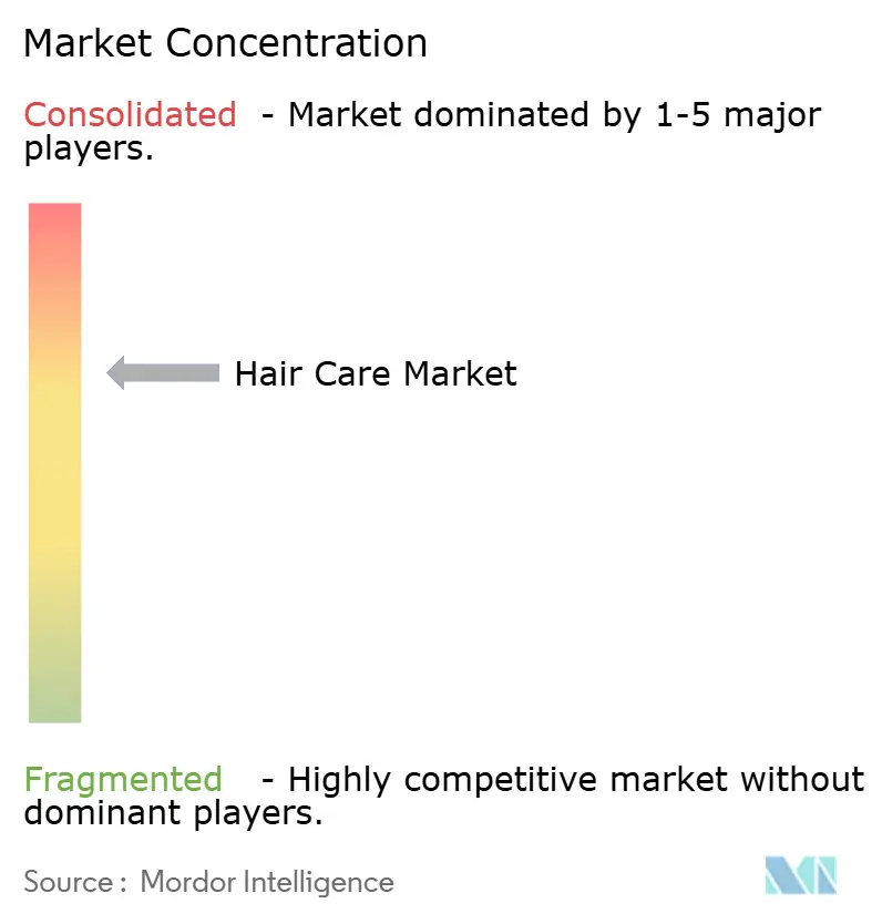 Hair Care Market Concentration