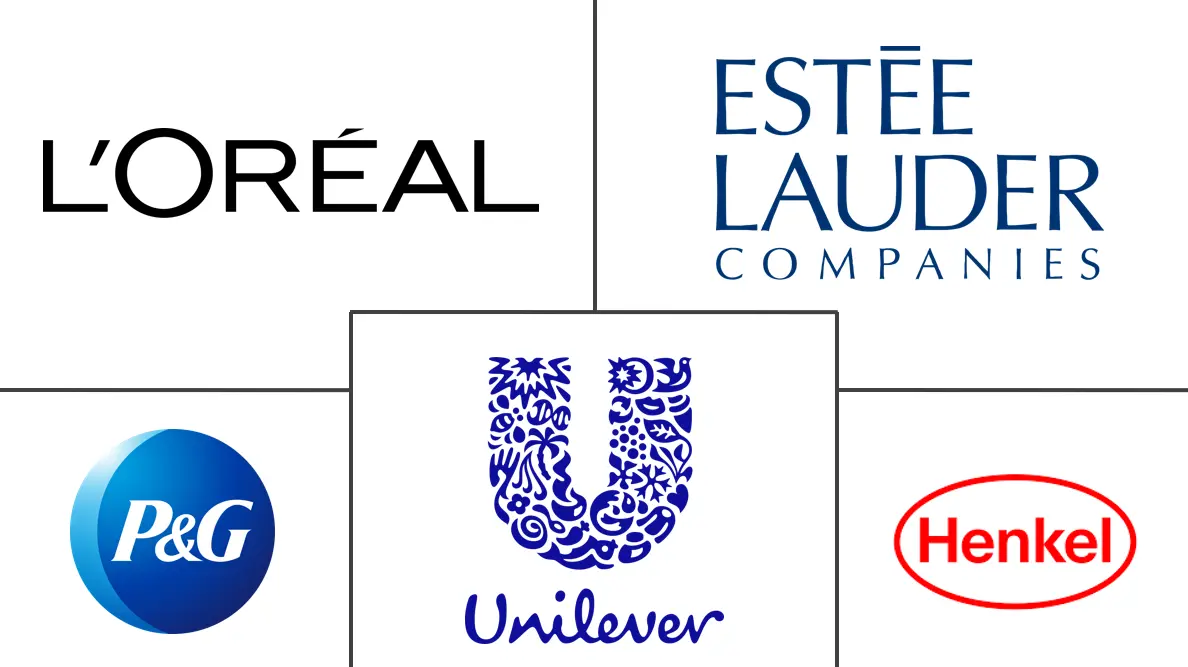 Major players in Hair Care Products industry