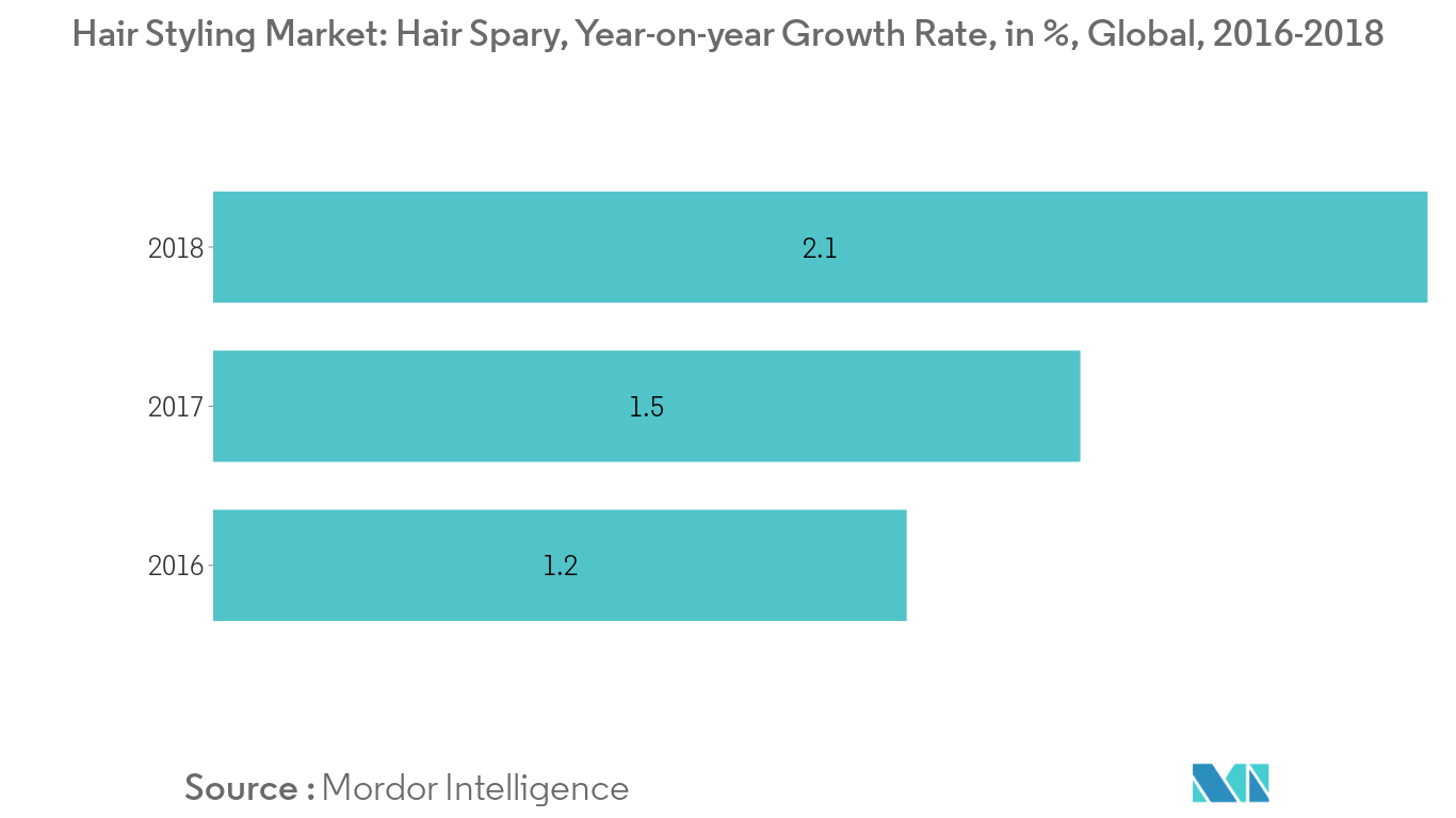 Hair Styling Market 1