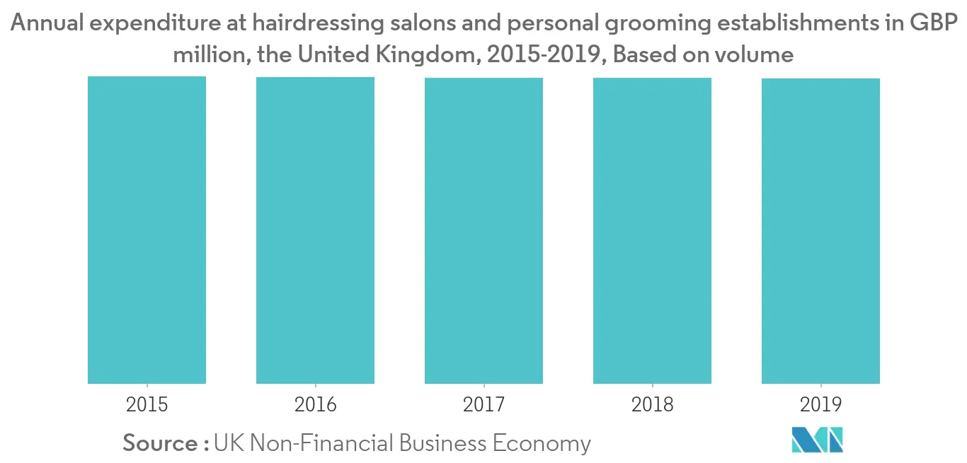 Hair Styling Tools Market 1