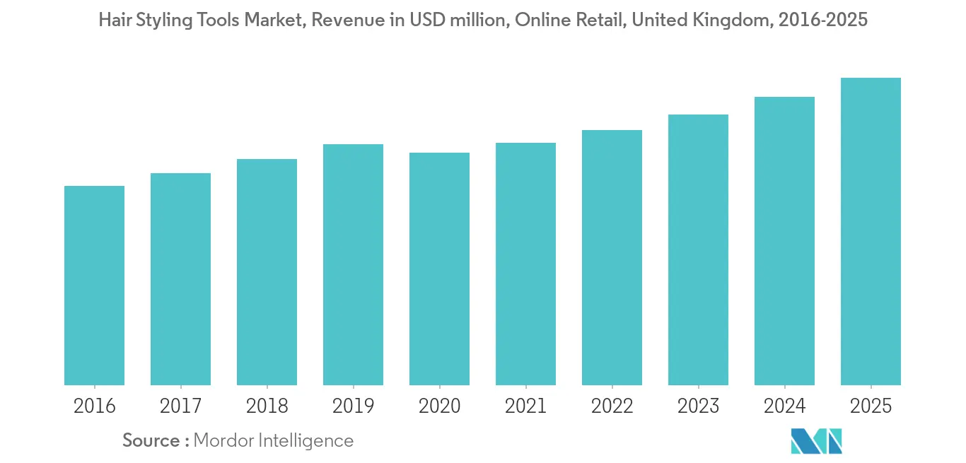 Hair Styling Tools Market2