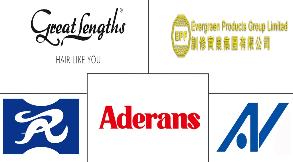 Major players in Hair Wigs And Extensions industry