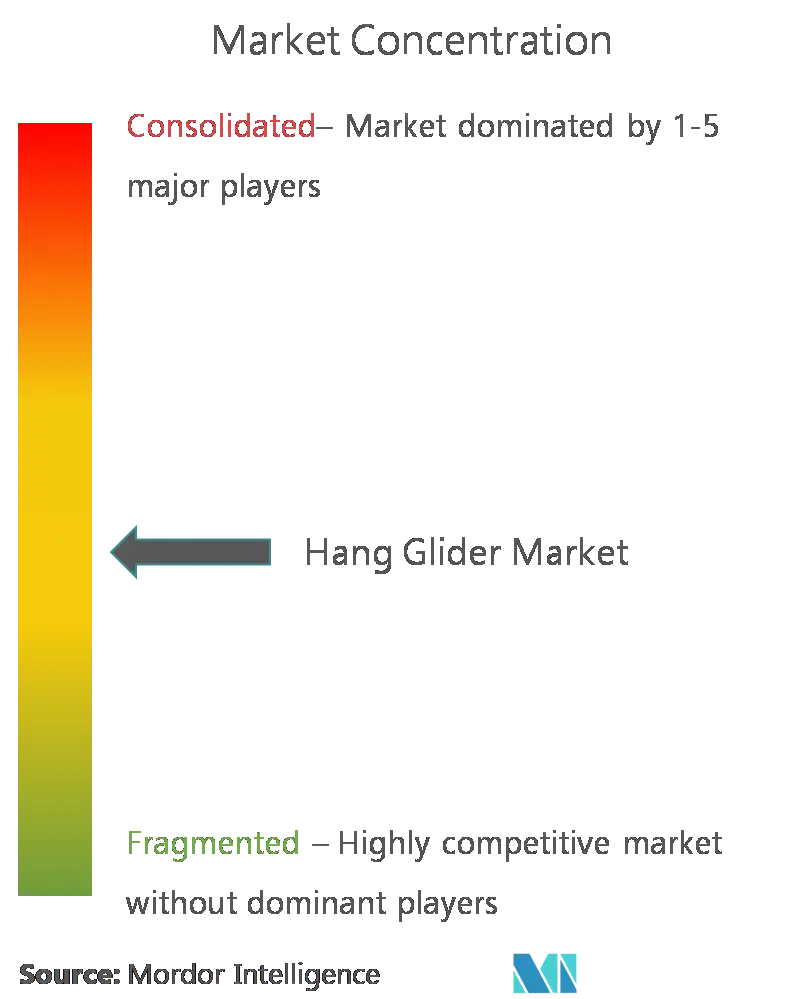 Hang Glider Market - Concentration.png