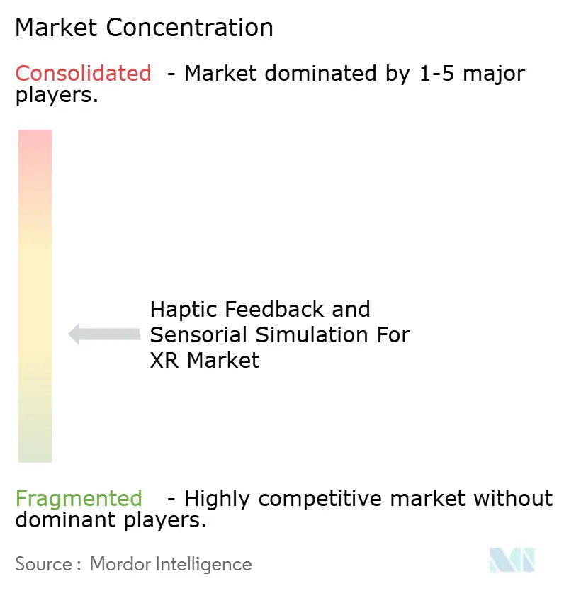 Haptic Feedback and Sensorial Simulation For XR Market Concentration