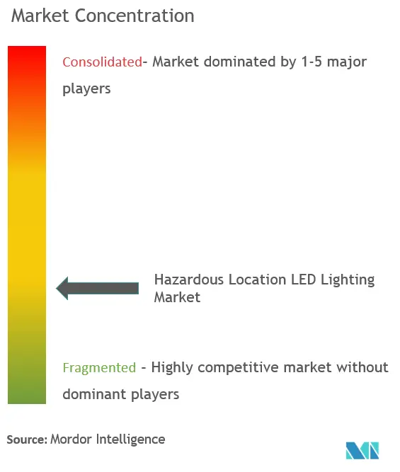Hazardous Location LED Lighting Market Concentration
