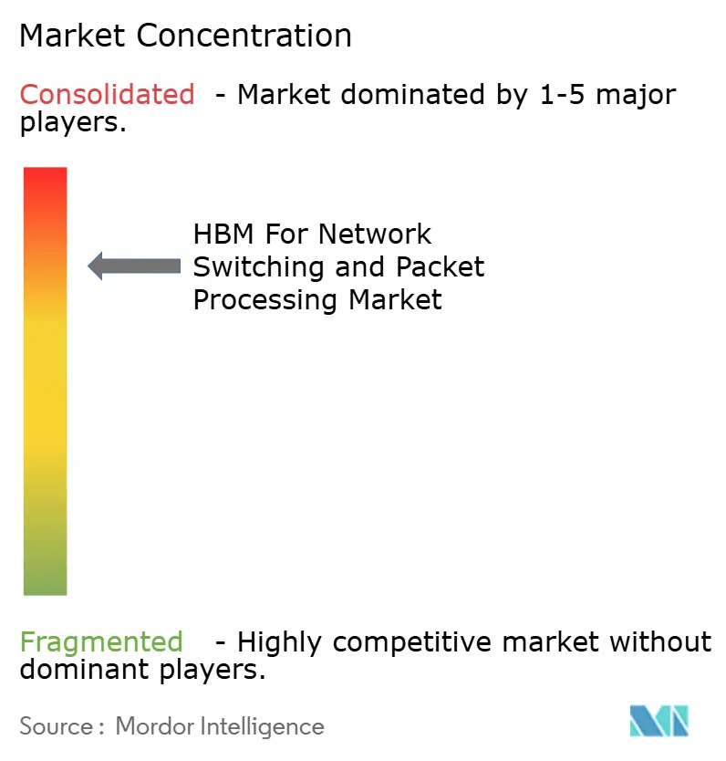 HBM For Network Switching and Packet Processing Market Concentration