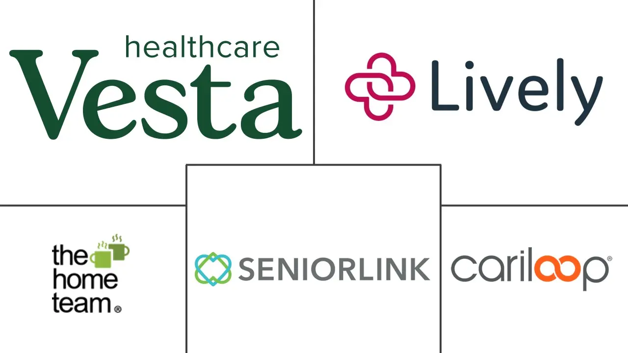 Health Caregiving Market Major Players