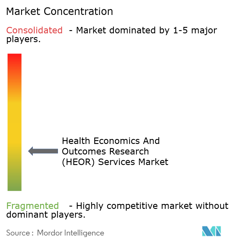 Health Economics And Outcomes Research (HEOR) ServicesMarket Concentration