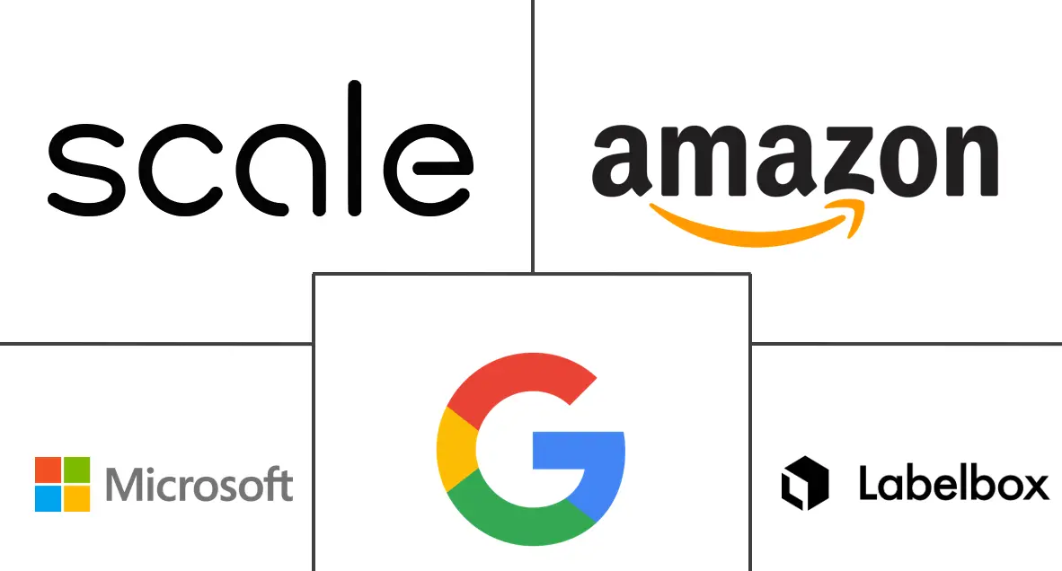 Major players in Healthcare Data Collection And Labeling industry