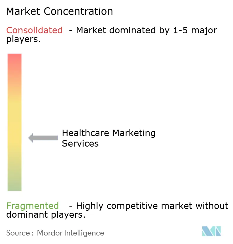 Healthcare Marketing Services Market Concentration
