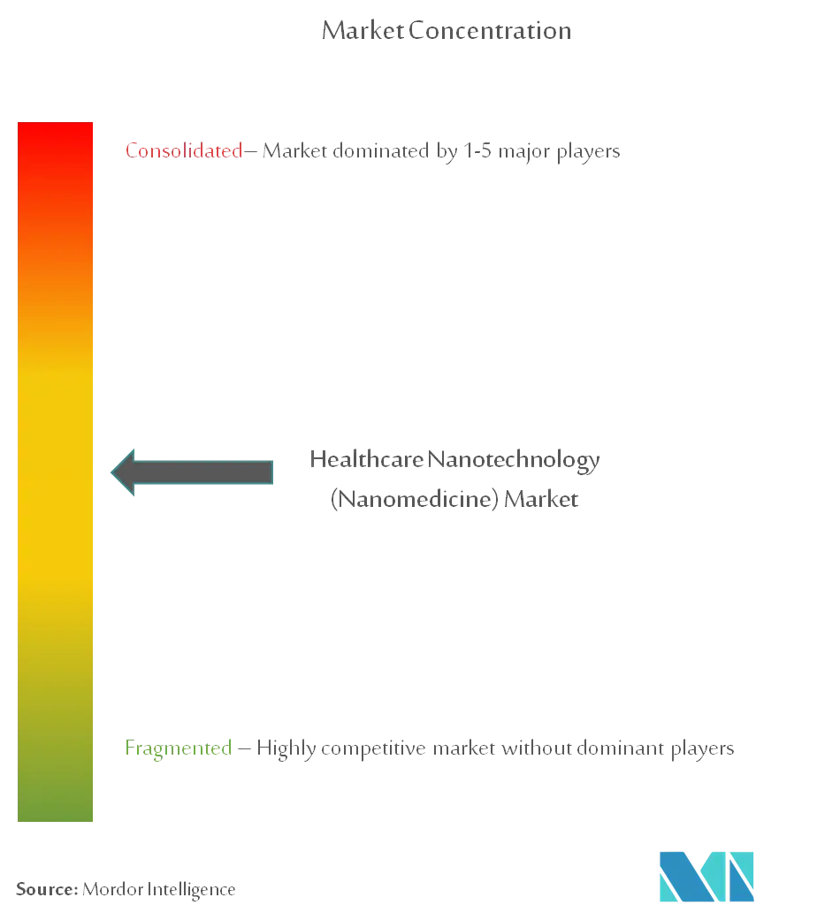 Healthcare Nanotechnology (Nanomedicine) Market Concentration