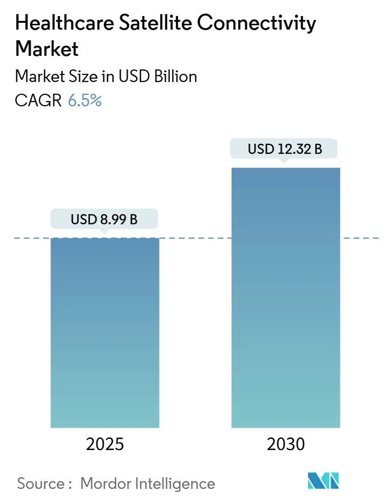 Healthcare Satellite Connectivity Market (2025 - 2030)