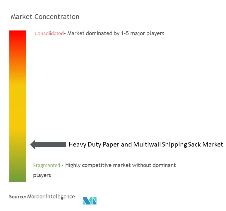 Heavy Duty Paper And Multiwall Shipping Sack Market Concentration