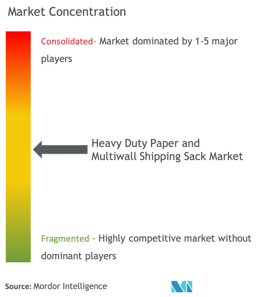 Heavy Duty Paper and Multiwall Shipping Sack Market Concentration