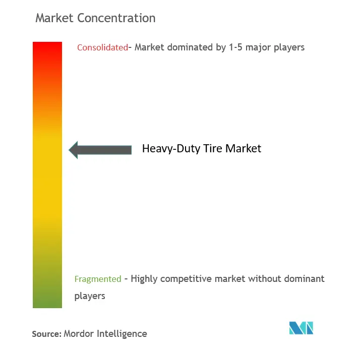 Heavy-duty Tire Market Concentration